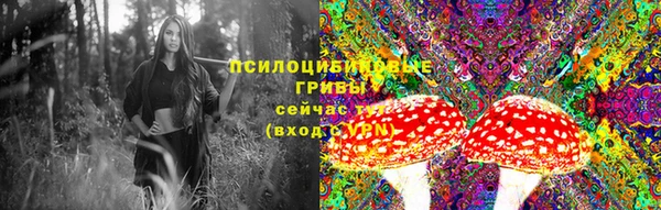 PSILOCYBIN Нефтекумск